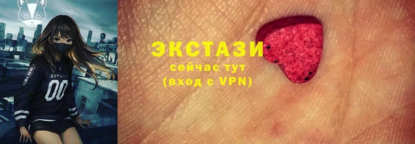 spice Инта