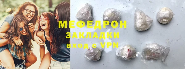 spice Инта