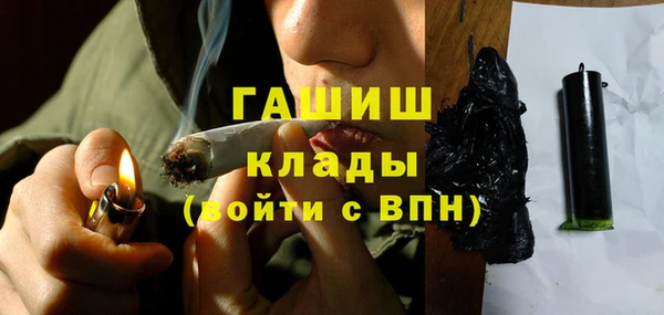 spice Инта