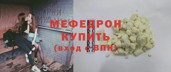 spice Инта