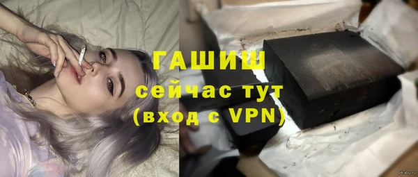 spice Инта