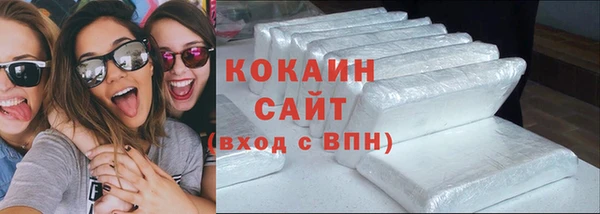 spice Инта