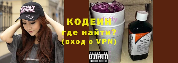 spice Инта