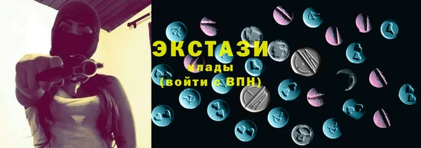 spice Инта