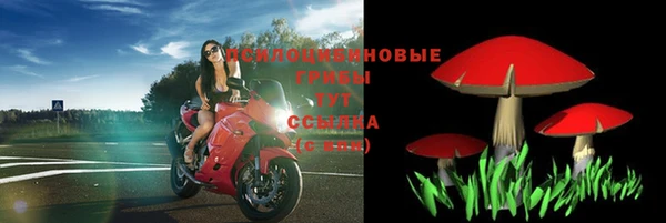 spice Инта
