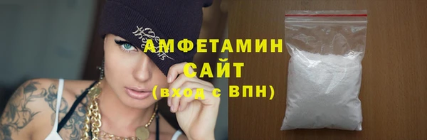 spice Инта