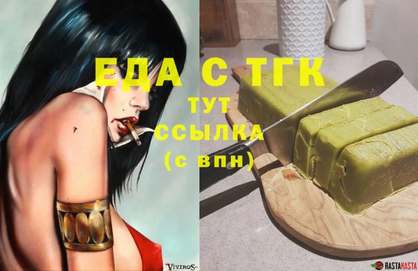 spice Инта