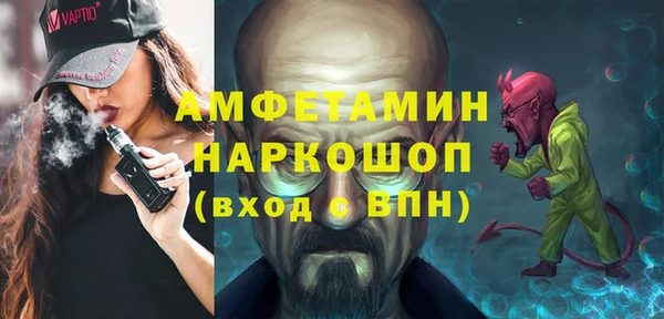 spice Инта