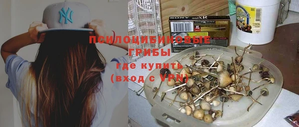spice Инта